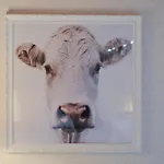 Nyaraló Le Moutat-l'etable