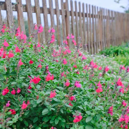 Le Moutat-l'etable Дом отдыха Allemans