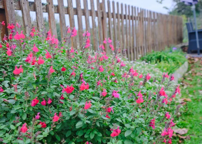 Le Moutat-l'etable Сasa de vacaciones Allemans
